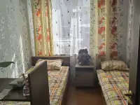 Сдам в аренду квартиру в г. Ганцевичи