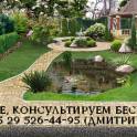 Ландшафтный дизайн в Бресте, фотография 2