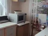 Сдам дом в Дисне. Документы для командировок, фотография 6