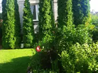 Продам дачу в 1,5 км от Бреста для постоянного проживания, фотография 2