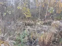 Сдаеться хороший дом с баней и бильярдом, фотография 11
