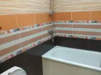 Посуточная аренда  квартир в п.Новоколосово, фотография 10