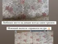 аренда моющего пылесоса, пароочиститель, робот мойщик окон, фотография 4