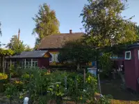 Продается деревянный дом с участком в д. Высокий Полк, Светлогорский р-н, Гомельская область, фотография 4