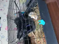 Продаем, фотография 6