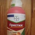 Престиж, фотография 1