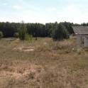 Перспективный участок в Негоничах 4,3 Га (89 км от Минска), фотография 3