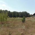 Перспективный участок в Негоничах 4,3 Га (89 км от Минска), фотография 4
