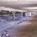 Перспективный участок в Негоничах 4,3 Га (89 км от Минска), фотография 6
