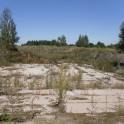 Перспективный участок в Негоничах 4,3 Га (89 км от Минска), фотография 8