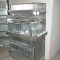 Продам клетки для перепелов,кур,брудеры универсальные для перепелов и цыплят, фотография 6