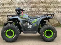 Квадроцикл ATV Motoland Wild 125 без ПТС (к-т з/ч), фотография 2