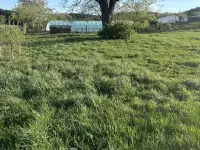 Продажа участка в д. Марьяливо, фотография 4