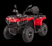 Квадрицикл bizon yk250 lux efi