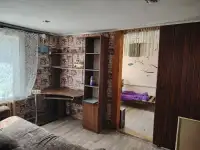 Ухоженный дом Бобруйск, Бумажкова, 38, фотография 4