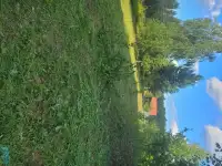 Продам участок в садовом товариществе, Молодеченский р-он, Красненский с/с, с/т РАМОНОК МАЗ, фотография 4