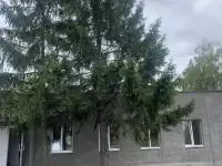 Сдается в аренду ОФИС БОБРУЙСК, ул. Бахарова 222А,