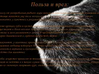 Масло из лосося камчатского SALMON OIL 100мл., фотография 4