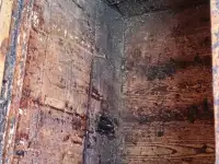 пчелиные корпуса, фотография 3