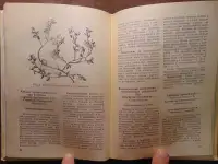 Заготовка дикорастущей продукции (пособие), издательство Ураджай, 1977 год, 240 страниц. Авторы: Коршиков Б. М., Митюков, фотография 8