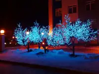 Для улицы, дома и ландшафта свет и радость для людей., фотография 2