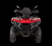 Квадрицикл bizon yk250 lux efi, фотография 4