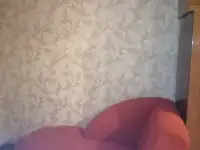 Сдам однокомнатную квартиру, Людниково 16/1, фотография 5