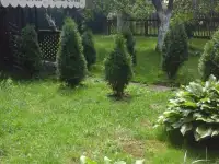 дача, терюха, фотография 8