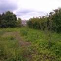 ДОМ В ЗАЛЕСЬЕ, Сморгонский Гродненская обл, фотография 6