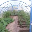 Участок продам, Домашаны, фотография 10