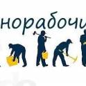 Грузчики услуги молодые энергичные