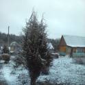 Продам дачу, фотография 5