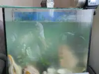 Хороший бюджетный подарок ребёнку