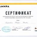 Шлифовка дощатых и паркетных полов