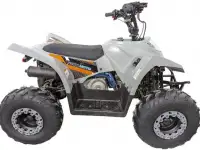 Квадроцикл Regulmoto SK11 (к-т з/ч), фотография 6