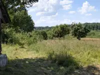 Хутор у озера и леса, деревня Заболотники, Синявский сельсовет, район, Минская область, фотография 4