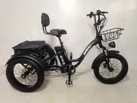 Трехколесный электровелосипед shtenli trike xmax, фотография 6