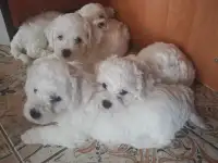 Продажа