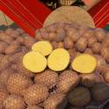 Продам картофель 