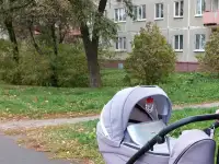 Коляска Bexa ideal limited 2 в 1, фотография 2