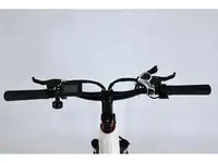 Электровелосипед smartbalance city lite (2025), фотография 8