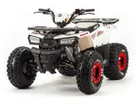 Квадроцикл ATV Motoland Wild 125 без ПТС (к-т з/ч), фотография 12