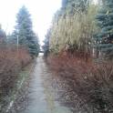Продам коммерческую недвижимость в Беларуси. Отдельно стоящее здание в центре г.Пинск., фотография 2