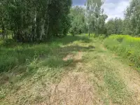 Ветхий дом, д. Светлица, ул. Октябрьская, д. 15, фотография 5