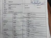 Щенки русской гончей, фотография 2