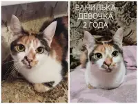 ПОЖАЛУЙСТА, НЕ ПРОХОДИТЕ МИМО!!!, фотография 9