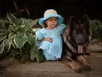 Немецкая овчарка щенки, фотография 2