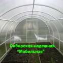 Сверхпрочная теплица «Сибирская» 6x3x2м (Комплект: каркас + поликарбонат), фотография 3