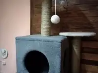 Когтеточка для кошек, фотография 4