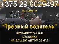 трезвый водитель Гомель